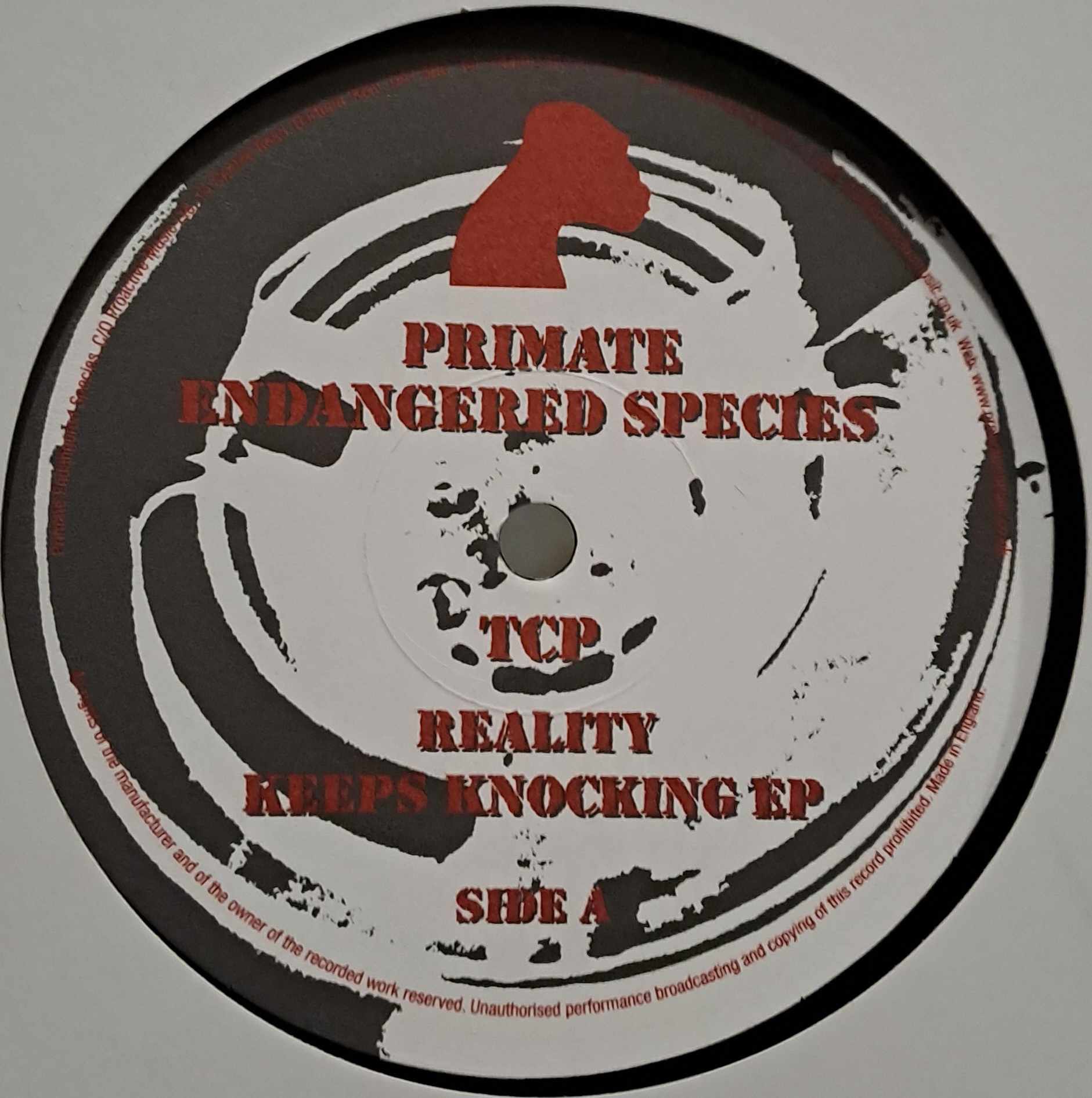 Primate Endangered Species 19 - vinyle techno